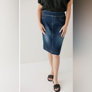 Sara Classic Knee Length Denin Skirt